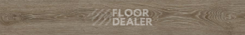 FineFloor FF-1200 Strong 1261 Дуб Аззам фото 2 | FLOORDEALER