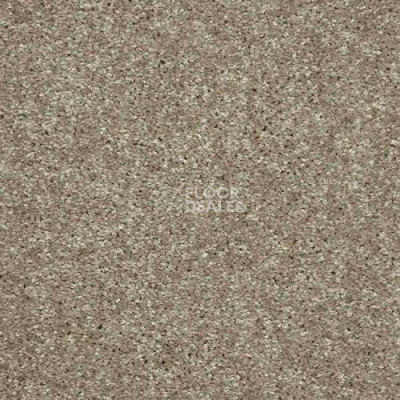 Ковролин AW Masquerade Gala 33 фото 1 | FLOORDEALER