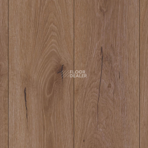 Ламинат Kronotex Robusto 12мм d81662 Harvest Oak Brown фото 1 | FLOORDEALER