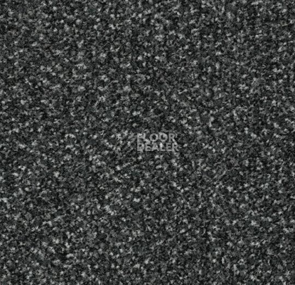 Грязезащитные покрытия Forbo Coral в плитке свободной укладки 4701 Anthracite фото 1 | FLOORDEALER