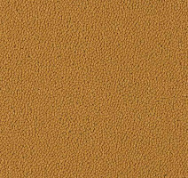 Ковровая плитка Westbond Ibond Natural 9248 фото 1 | FLOORDEALER