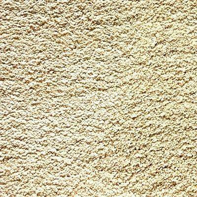 Ковролин Shaw Cashmere IV 105 фото 1 | FLOORDEALER