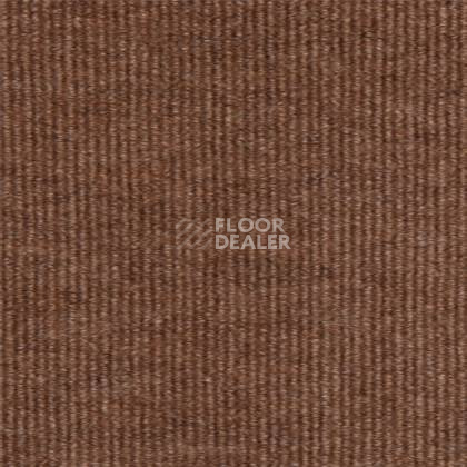 Ковролин Tapibel Bonanza 3521 фото 1 | FLOORDEALER