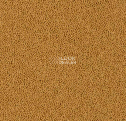 Ковровая плитка Westbond Ibond Natural 9248 фото 1 | FLOORDEALER