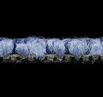 Balsan Stoneage 170 фото 3 | FLOORDEALER