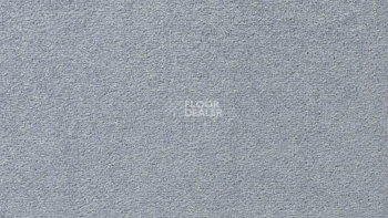 Ковролин Vorwerk Passion 1004 Vorwerk 3n62 фото 1 | FLOORDEALER