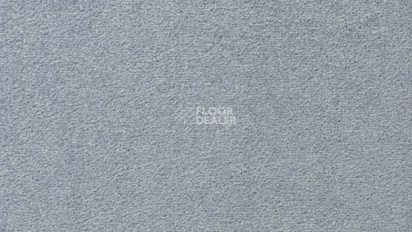 Ковролин Vorwerk Passion 1004 Vorwerk 3n62 фото 1 | FLOORDEALER