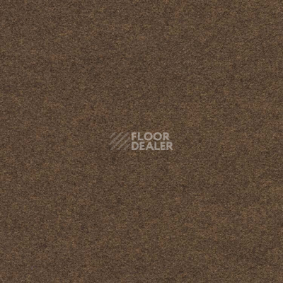 Ковролин Finett Feinwerk 403507 фото 1 | FLOORDEALER