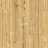 Alpine Floor by Classen Pro Nature 4мм Mocoa 62536 фото 2 | FLOORDEALER