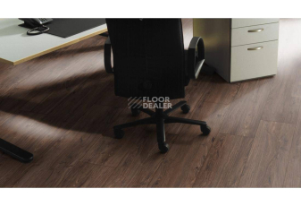 Kronotex Exquisit Plus d4710 Орех Матаро фото 5 | FLOORDEALER
