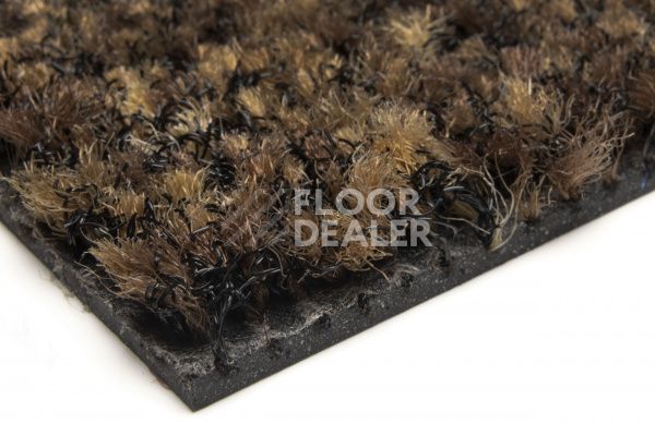 Грязезащитные покрытия Forbo Coral Brush 5774 biscotti brown фото 3 | FLOORDEALER
