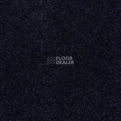 Ковролин Shaw Design Texture Platinum 404 фото 1 | FLOORDEALER