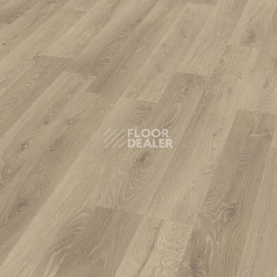 Ламинат Kronotex Dynamic Plus d4155 Дуб Роскошный Серебряный фото 1 | FLOORDEALER