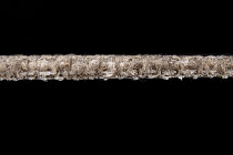 Betap Lake 124 фото 4 | FLOORDEALER