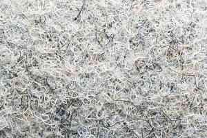 Ковровая плитка Forte в плитке 96010 t Quartz фото  | FLOORDEALER