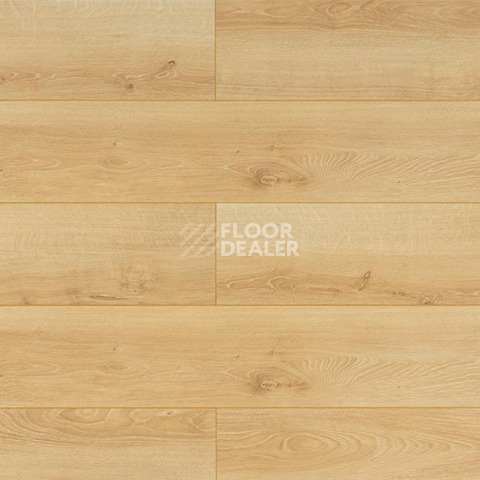 Ламинат My Step Mega 12 ms 2812 Дуб Лион фото 1 | FLOORDEALER