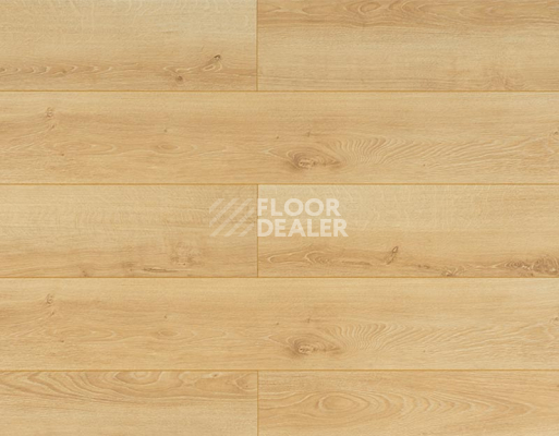 Ламинат My Step Mega 12 ms 2812 Дуб Лион фото 1 | FLOORDEALER