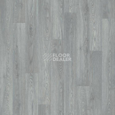Линолеум Tarkett Sprint Pro Baden 3 фото 1 | FLOORDEALER