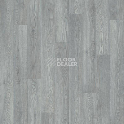 Линолеум Tarkett Sprint Pro Baden 3 фото 1 | FLOORDEALER