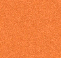 Линолеум Graboflex Gymfit 60 3338_00_279 фото 1 | FLOORDEALER