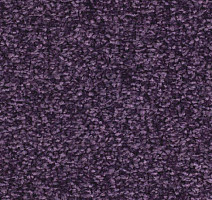 Ковролин Balsan Ultrasoft 870 фото 1 | FLOORDEALER