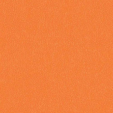 Линолеум Graboflex Gymfit 60 3338_00_279 фото 1 | FLOORDEALER