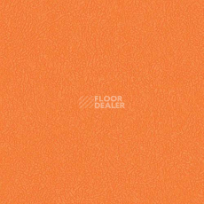 Линолеум Graboflex Gymfit 60 3338_00_279 фото 1 | FLOORDEALER