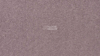 Ковролин Vorwerk Passion 1004 Vorwerk 3n61 фото 1 | FLOORDEALER