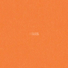 Graboflex Gymfit 60 3338_00_279 фото 1 | FLOORDEALER