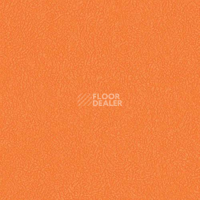 Линолеум Graboflex Gymfit 60 3338_00_279 фото 1 | FLOORDEALER