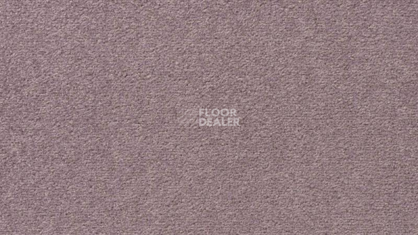 Ковролин Vorwerk Passion 1004 Vorwerk 3n61 фото 1 | FLOORDEALER