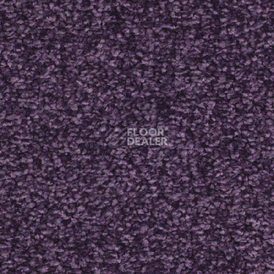 Ковролин Balsan Ultrasoft 870 фото 1 | FLOORDEALER