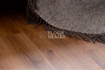 Vinilpol Glue 2мм 8833 EIR ДУБ САН-РЕМО фото 3 | FLOORDEALER