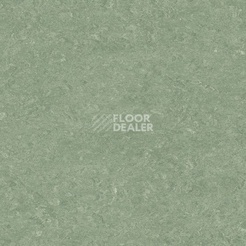 Линолеум Gerflor Marmorette DLW 2.5mm 0043 Leaf Green фото 1 | FLOORDEALER
