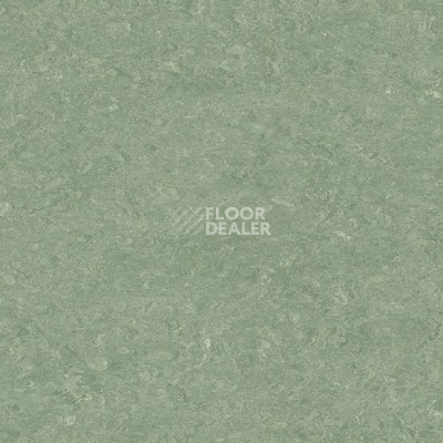 Линолеум Marmorette DLW 2.5mm 0043 Leaf Green фото 1 | FLOORDEALER
