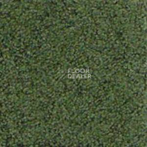 Ковролин Infloor Cashmere 450 фото 1 | FLOORDEALER