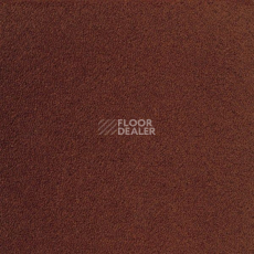 Ковролин Sintelon Eden 27830 фото 1 | FLOORDEALER