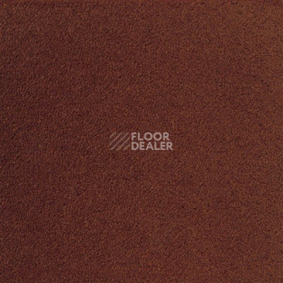 Ковролин Sintelon Eden 27830 фото 1 | FLOORDEALER