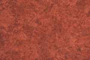 Линолеум Novoflor Extra Amos 3100-70 фото  | FLOORDEALER