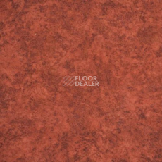 Линолеум Novoflor Extra Amos 3100-70 фото 1 | FLOORDEALER