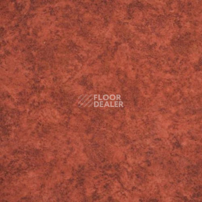 Линолеум Novoflor Extra Amos 3100-70 фото 1 | FLOORDEALER