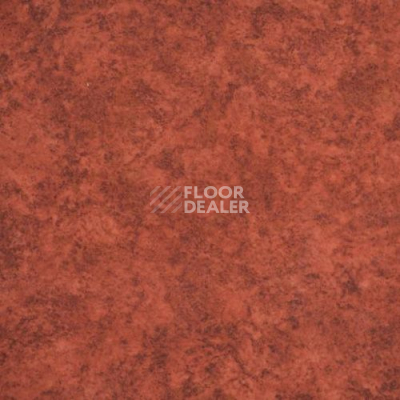 Линолеум Novoflor Extra Amos 3100-70 фото 1 | FLOORDEALER