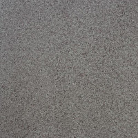 Линолеум Lg Calmpasso CP 93408 фото 1 | FLOORDEALER