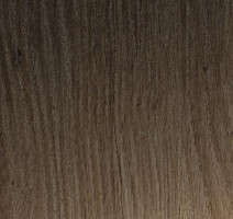 Кварцвиниловые полы Forbo Allura Premium 60235 фото 1 | FLOORDEALER