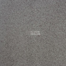 Линолеум Lg Calmpasso CP 93408 фото 1 | FLOORDEALER