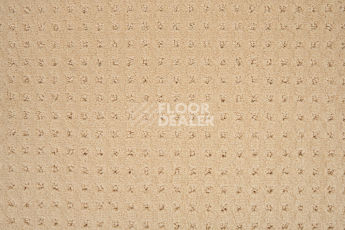 Balsan Territoires Atrium 311 фото 2 | FLOORDEALER