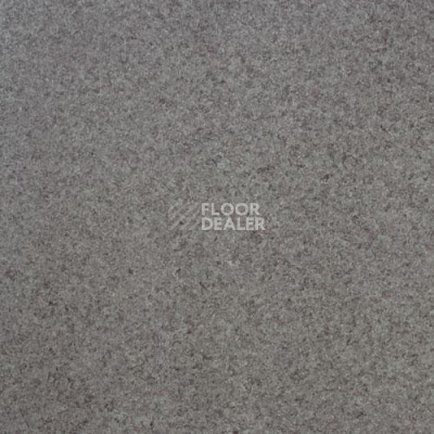 Линолеум Lg Calmpasso CP 93408 фото 1 | FLOORDEALER