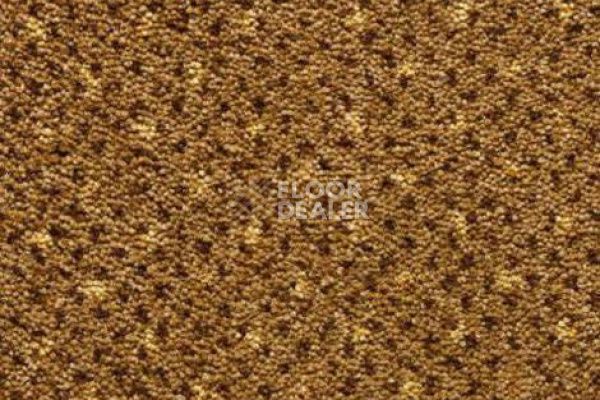 Ковролин CONDOR Carpets America 148 фото 1 | FLOORDEALER
