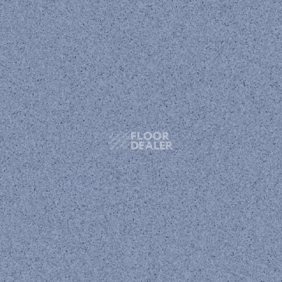 Линолеум Tarkett Primo Plus M Primo 309 фото 1 | FLOORDEALER