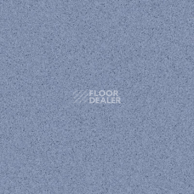 Линолеум Tarkett Primo Plus M Primo 309 фото 1 | FLOORDEALER